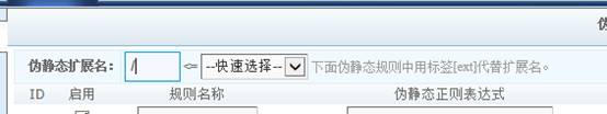 KESION (.NET系列V2.5版本)伪静态的设置说明 第 8 张 KESION (.NET系列V2.5版本)伪静态的设置说明 第 8 张