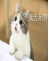 【电商】新版V5商城系统优惠券和红包系统优化啦~ 第 12 张