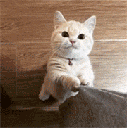 57~@D91P5JTA78@AEB0WR75.gif