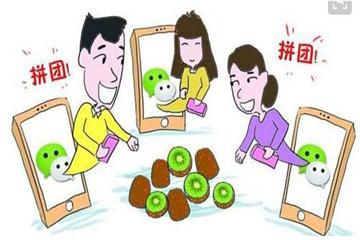 拼团模式崛起，，，已成为零售电商行业“第三极”