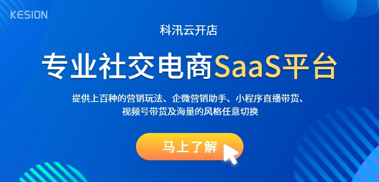 国产SaaS软件企业的最终盈利？？？？？pp电子远景值得期待