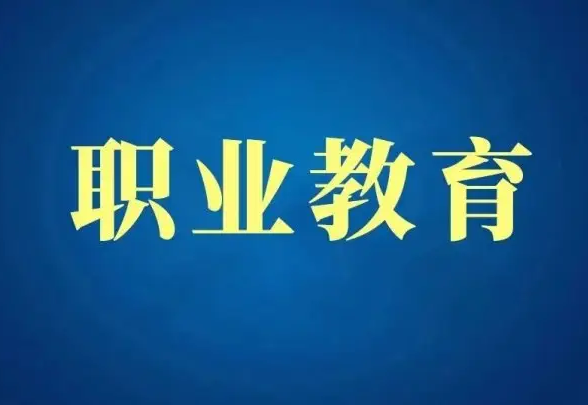 职业教育领域迎来黄金时期 线上职业教育该怎样生长？？？？？？