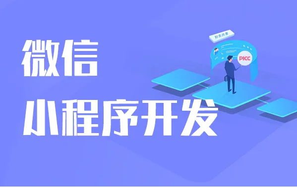影响小程序开发价钱的因素有哪些？？？？？？小程序开发怎样举行？？？？？？